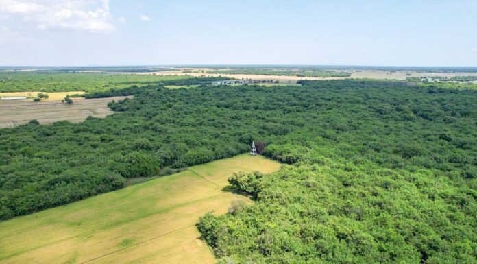 បឹងទន្លេសាបបញ្ហាប្រឈមធំ គឺការទន្ទ្រានដីព្រៃ