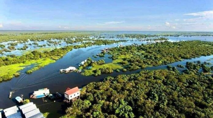 ព័ត៌មានជាតិដើមរាំងទឹកធំៗ នឹងត្រូវដាំតាមចន្លោះបង្គោលព្រំតំបន់ ៣ ជុំវិញតំបន់បឹងទន្លេសាប ដើម្បីការពារដែនព្រៃលិចទឹក