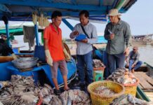 ក្រុមការងារការិយាល័យត្រួតពិនិត្យការធ្វើអាជីវកម្មលើធនធានធម្មជាតិ នៃអាជ្ញាធរទន្លេសាប ចុះសិក្សាស្រាវជ្រាវ និងវាយតម្លៃពីការកែច្នៃត្រី ស្ថិតនៅឃុំកំពង់លួង និងឃុំអន្លង់ត្នោត ស្រុកក្រគរ ខេត្តពោធិ៍សាត់