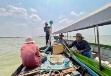 ក្រុមការងារការិយាល័យត្រួតពិនិត្យការធ្វេីអាជីវកម្មលេីធនធានធម្មជាតិ នៃអាជ្ញាធរទន្លេសាប បានចុះសិក្សាស្រាវជ្រាវ តាមដាន វាយតម្លៃពីបរិមាណផលចាប់ធនធានត្រី និងជីវៈចម្រុះគ្រប់ប្រភទស្ថិតក្នុងភូមិសាស្ត្រឃុំផាត់សណ្តាយ ស្រុកកំពង់ស្វាយ ខេត្តកំពង់ធំ