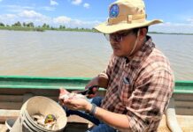 ក្រុមការងារការិយាល័យជីវៈចម្រុះ បានបន្តចុះសិក្សាស្រាវជ្រាវ តាមដាន វិភាគ និងវាយតម្លៃពីលក្ខណៈជីវសាស្ត្រធនធានជីវៈចម្រុះនៅតំបន់បឹងទន្លេសាប ខេត្តកំពង់ធំ