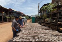 លោក ណៅ ណាតា អនុប្រធាននាយកដ្ឋានត្រួតពិនិត្យការធ្វើអាជីវកម្ម និងអភិរក្ស បានចុះសិក្សាស្រាវជ្រាវ តាមដានវាយតម្លៃពីបរិមាណផលចាប់ធនធានត្រី ជីវចម្រុះគ្រប់ប្រភេទនិងវាយតម្លៃពីការកែច្នៃក្នុងខេត្តសៀមរាប