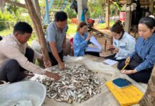 ក្រុមការងារការិយាល័យជីវៈចម្រុះ នៃអាជ្ញាធរទន្លេសាប បានចុះសិក្សាស្រាវជ្រាវ តាមដាន វិភាគ និងវាយតម្លៃពីលក្ខណៈជីវសាស្ត្រ ធនធានជីវចម្រុះគ្រប់ប្រភេទ នៅក្នុងខេត្តកំពង់ឆ្នាំង ពោធិ៍សាត់ និងខេត្តកំពង់ធំ